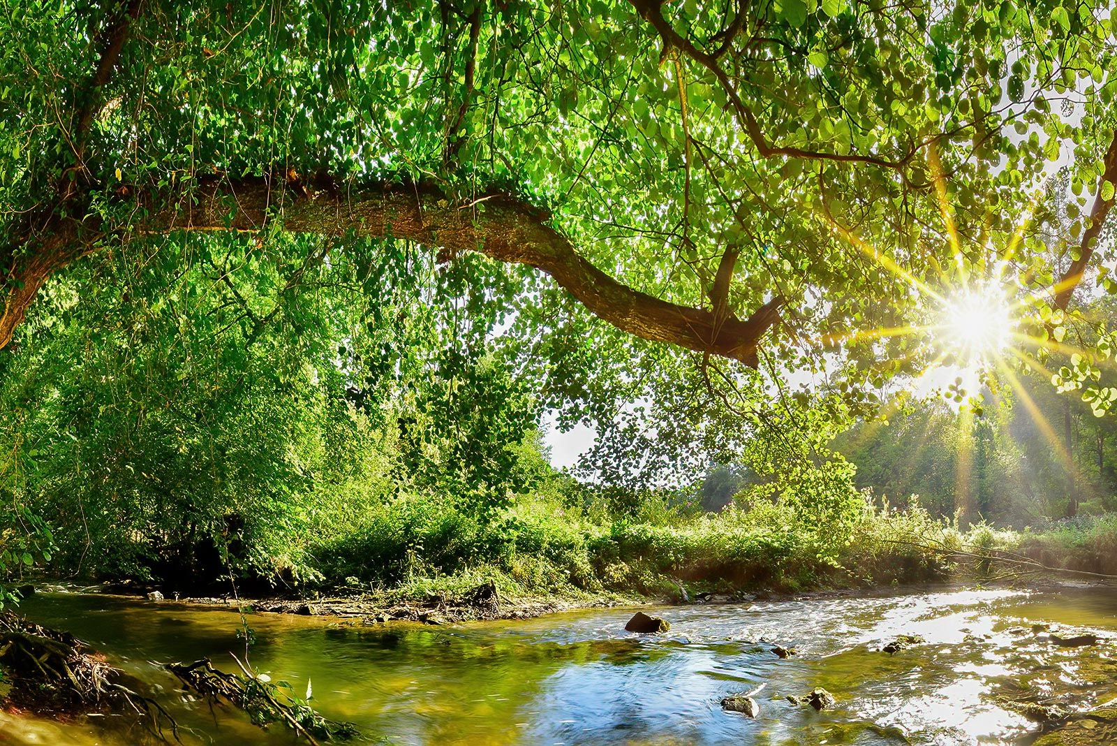 Bachlauf bei Sonnenaufgang